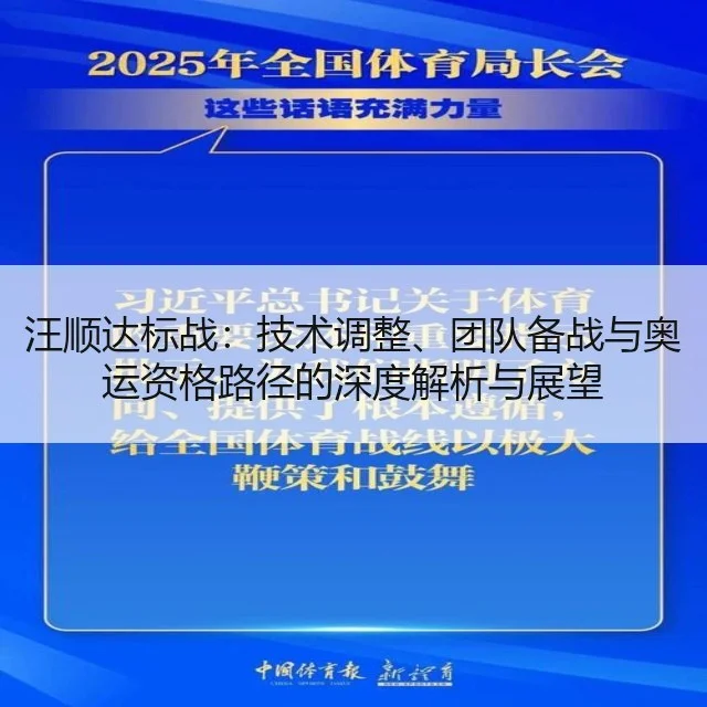 汪顺达标战：技术调整、团队备战与奥运资格路径的深度解析与展望
